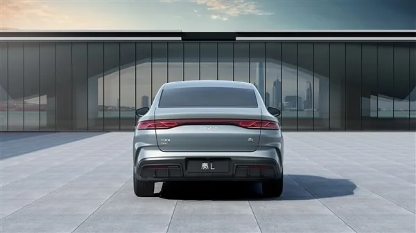 BYD King rear view